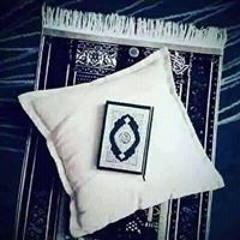 شهاب محمد