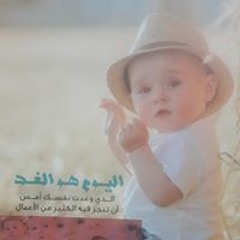 شقائق النعمان