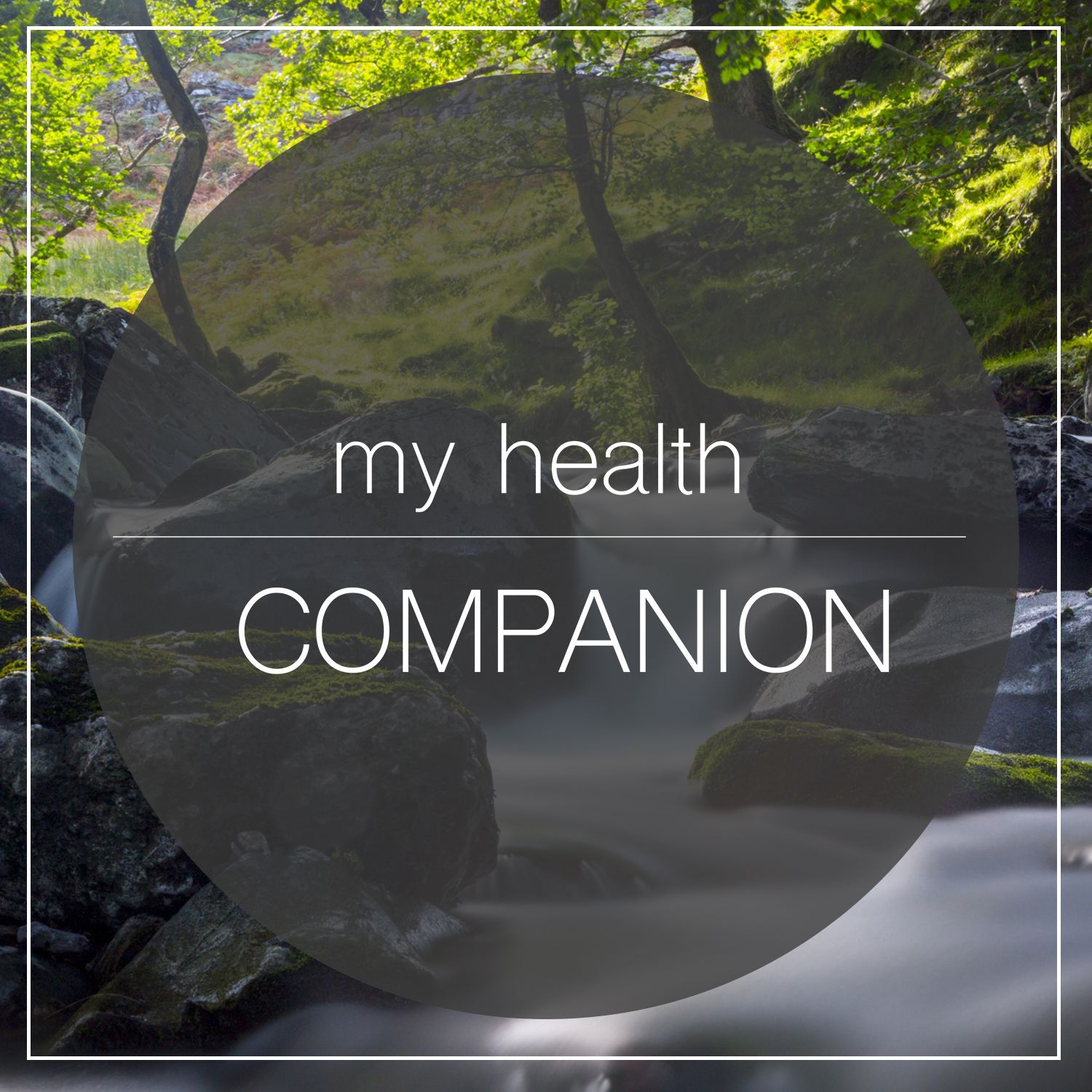 My Health Companion