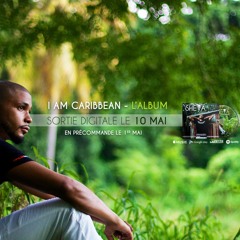 Sheva Punchline