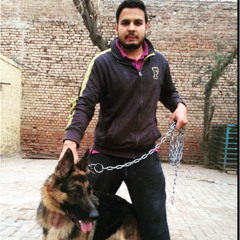 Usman Tariq