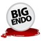 DJ ENDO