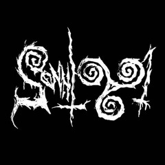 Sonnig 991
