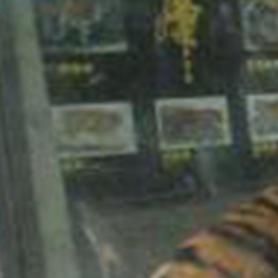 Balming Tiger