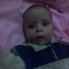 مصطفى محمود علي