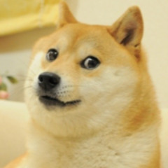 doogao