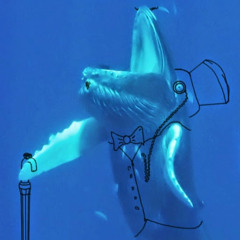 Seevjin