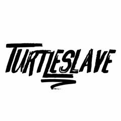 Turtle Slave