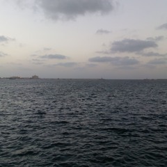 Talaat Kamal