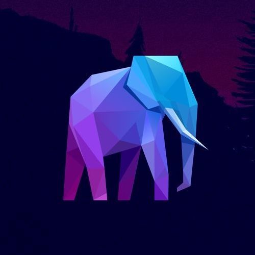 Walking Elephants / Promotion’s avatar