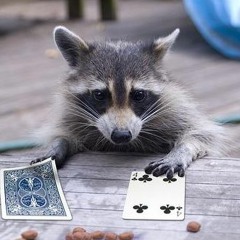 xartzer.kro