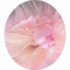 The Spiritist Psychological Society