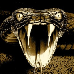 Viper