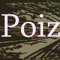 Poiznervo