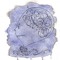 Evide