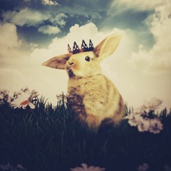 Rosalyn 🐰