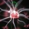 The Brain of Dark Matter
