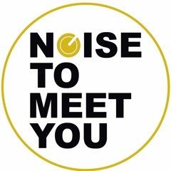 Noise To Meet You Records