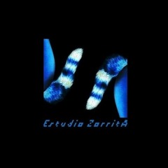 Estudio ZorritA