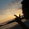 Wellington Silva