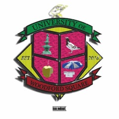 University of Woodford Square