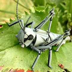GrassHoppa