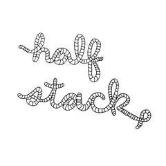 Half Stack