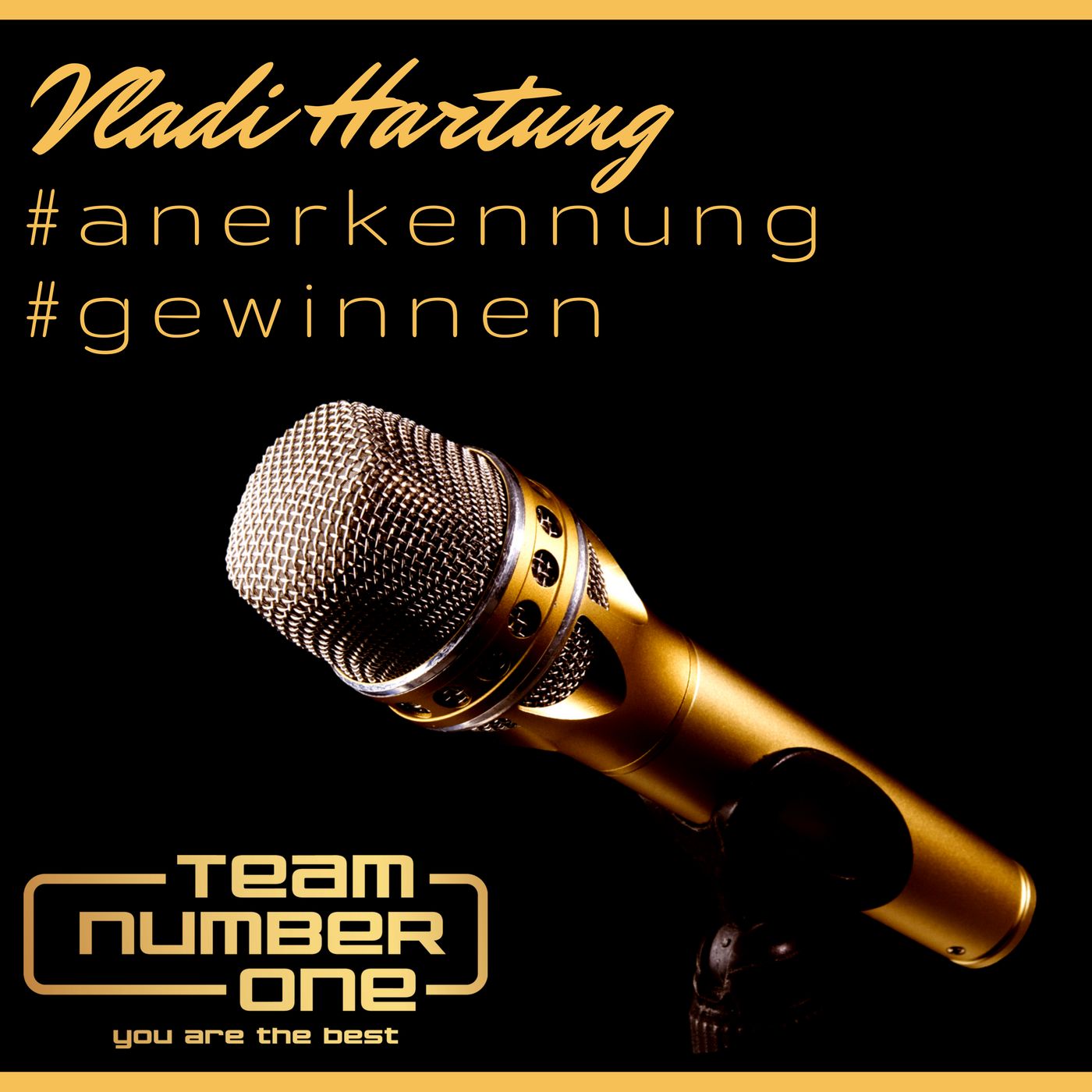 Anerkennung gewinnen Vladi Hartung