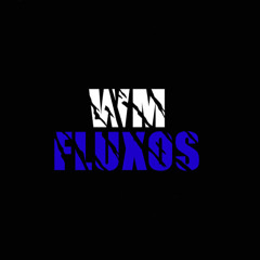 WM FLUXOS