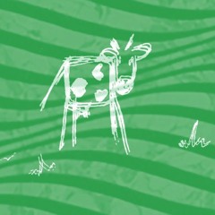 the fanatics xanadus buzzards