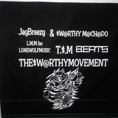 JayBreezy (T.$.M/L.W.M)