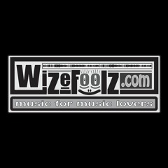 WizeFoolz.com