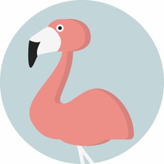 The Flashy Flamingo