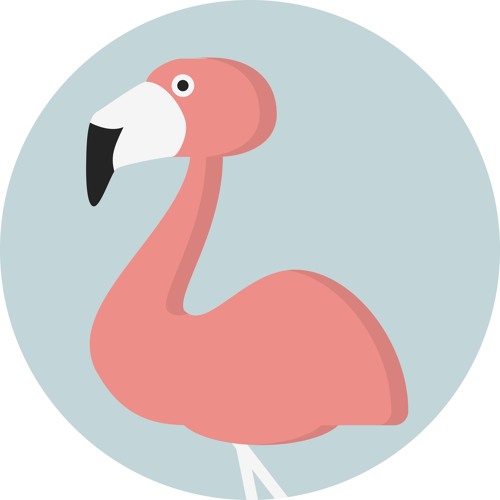 The Flashy Flamingo’s avatar