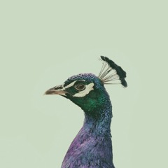 Eman Khater