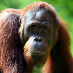 eeeeeeeeeeeeeeeeeeeeeeeeeeeeeeeeeeeeeeeeeeeeeeeeee