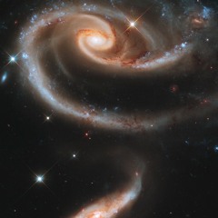 TestTubeSubjectno. 47