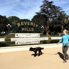 THE BEVERLY HILLS EXPERIENCE
