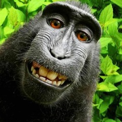 Munky87