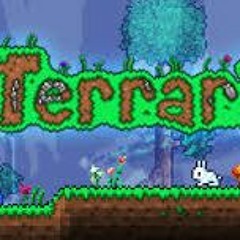 TerrariaBoiii