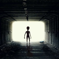 -PHLEX AZ *NEW PROFILE LINK IN BIO*