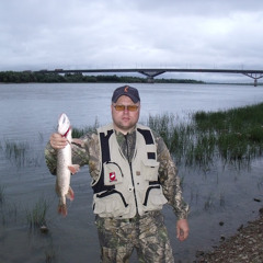 Максим Поселянин