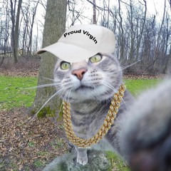 Lil' Cat