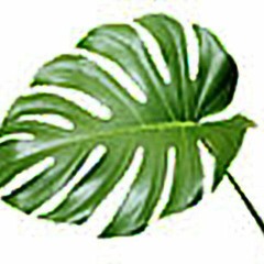 Green Living Air Pty Ltd