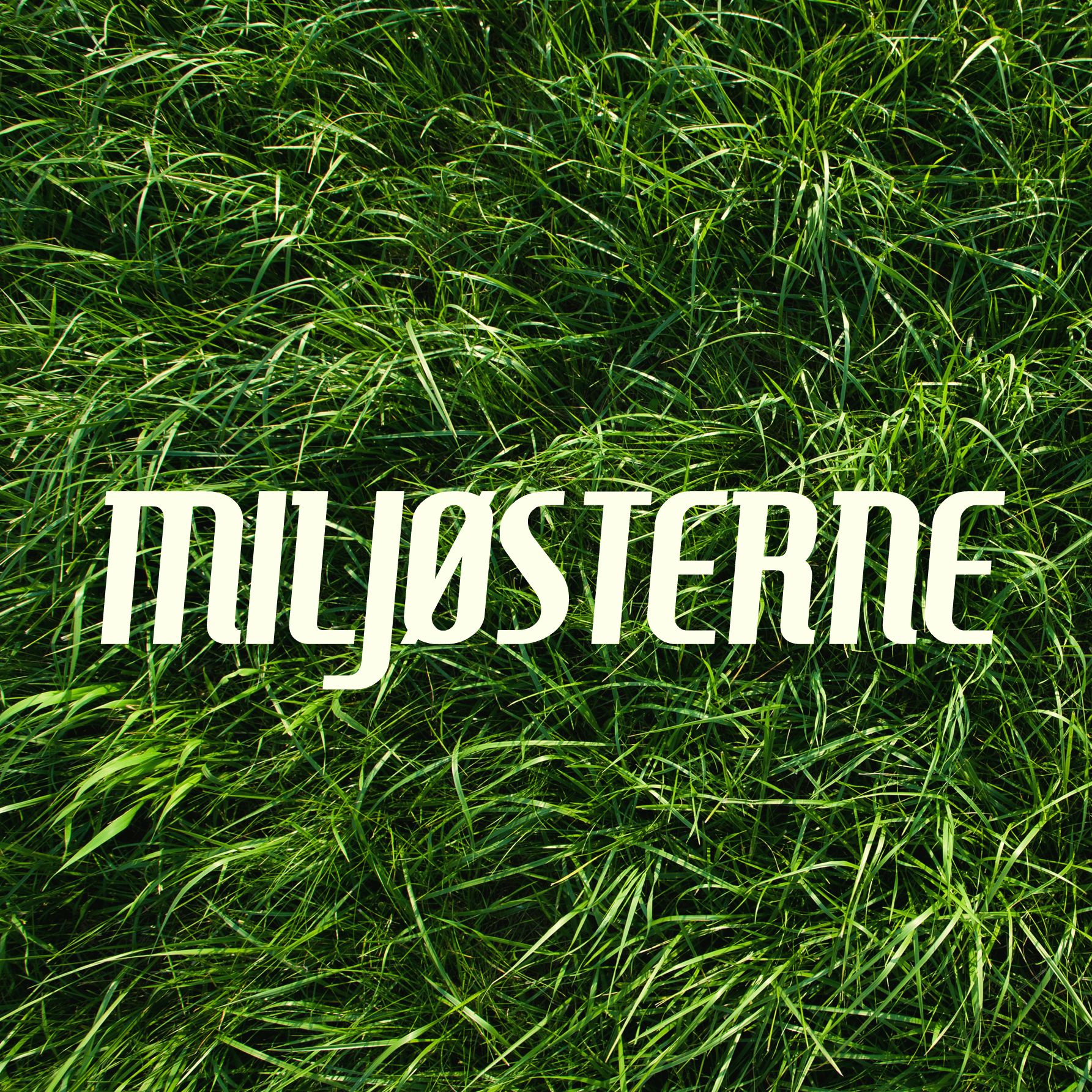 Miljøsterne af Stort og småt om klima, kludder og kompromiser