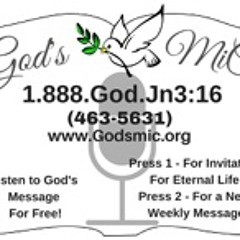 Julie Trimmer-Ehlert