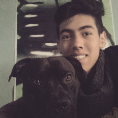 steven S