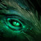 dragonbiscuit
