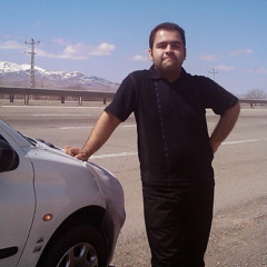 Mohsen Hamidian