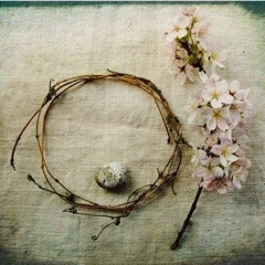 Từ Khóa - Phù Sinh Điện Hạ